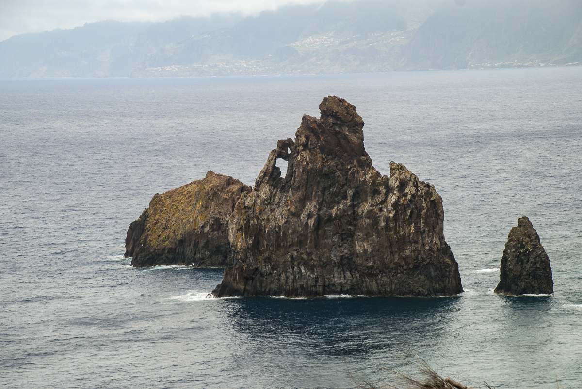 20210129 wowarich.jpg