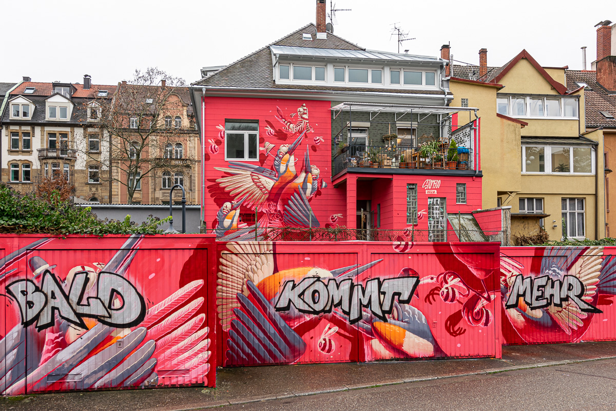 20210131-DSC_2745.jpg
