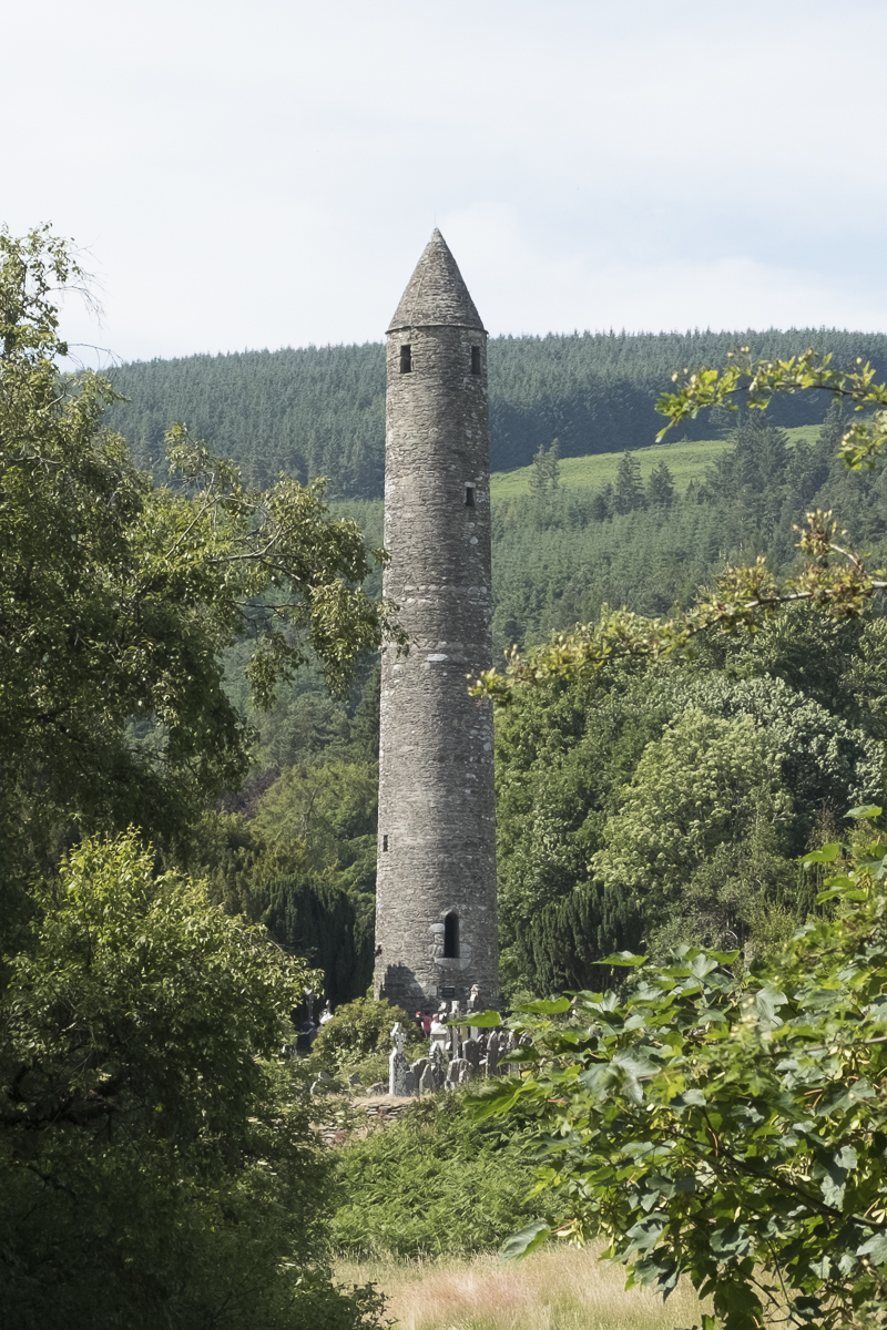 20210605 wowarich.jpg