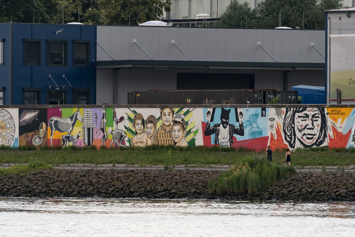 20210708-007.jpg