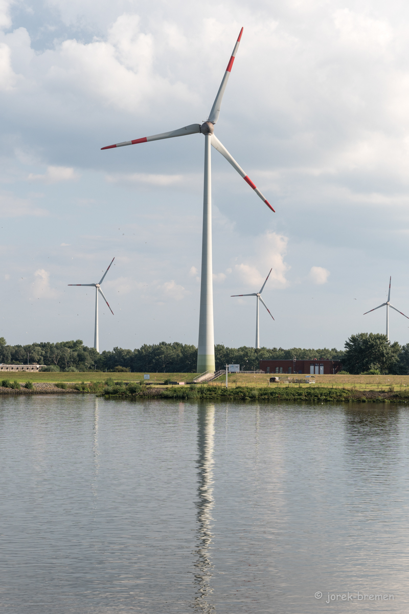 20210725-006.jpg