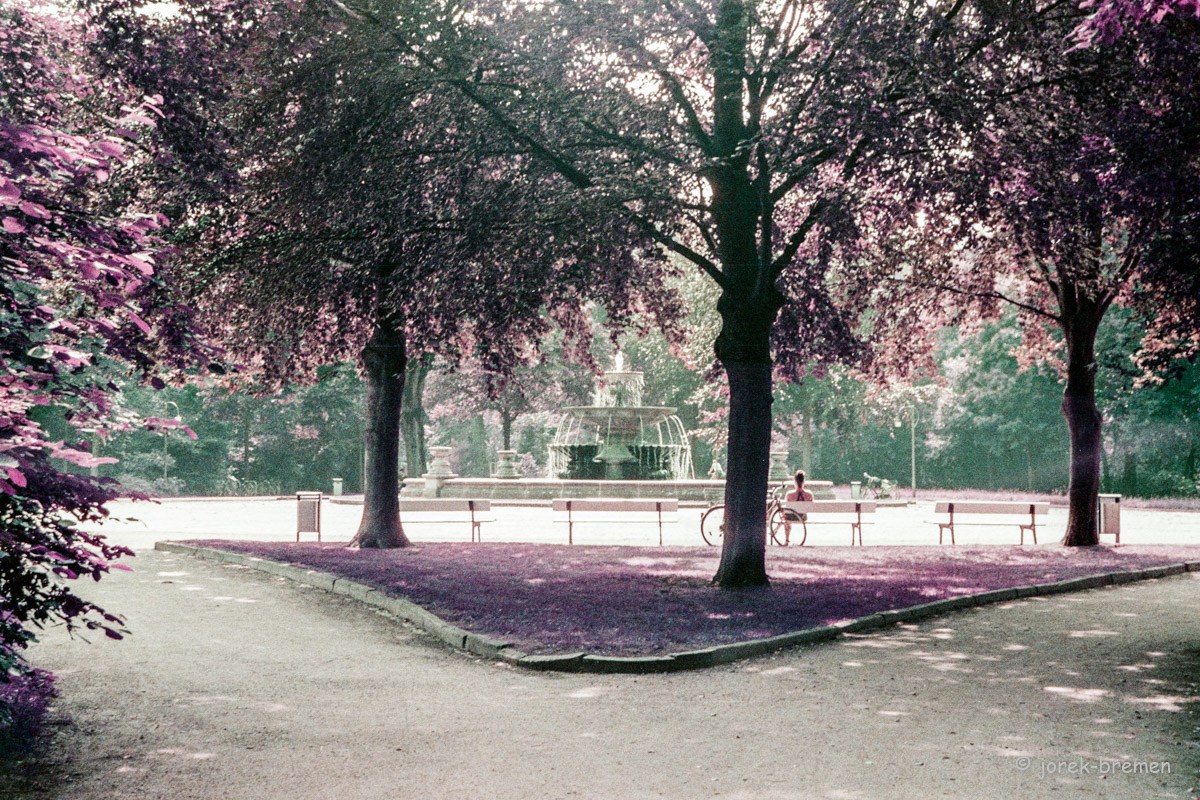 20210731-008.jpg