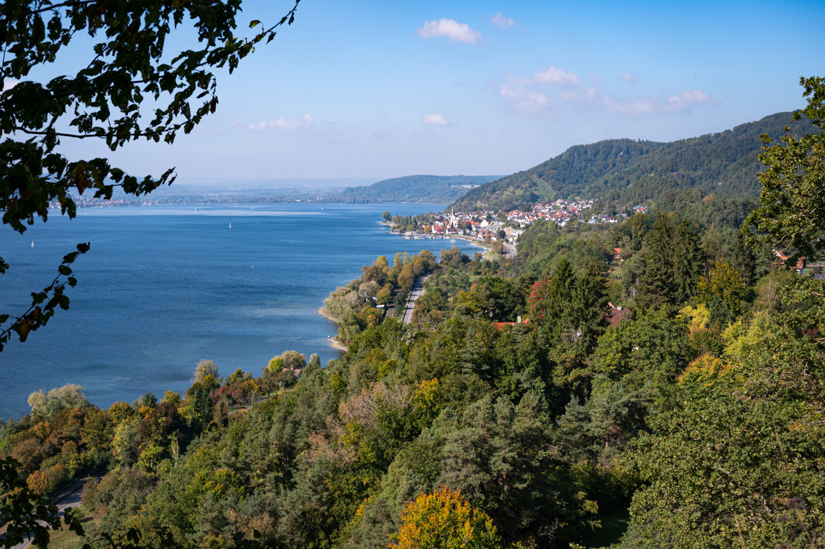 20211009-NZ6_4974.jpg