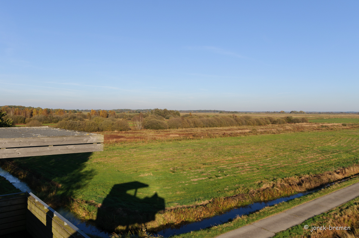 20211028-DSC_6076.jpg