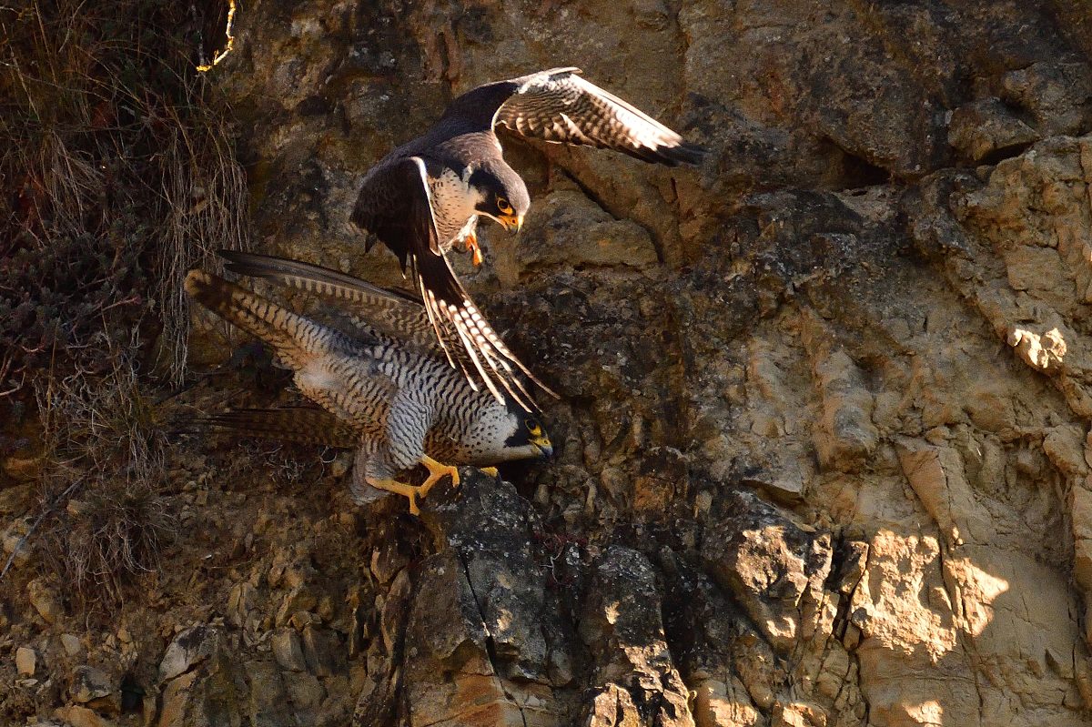 2021_03429.jpg