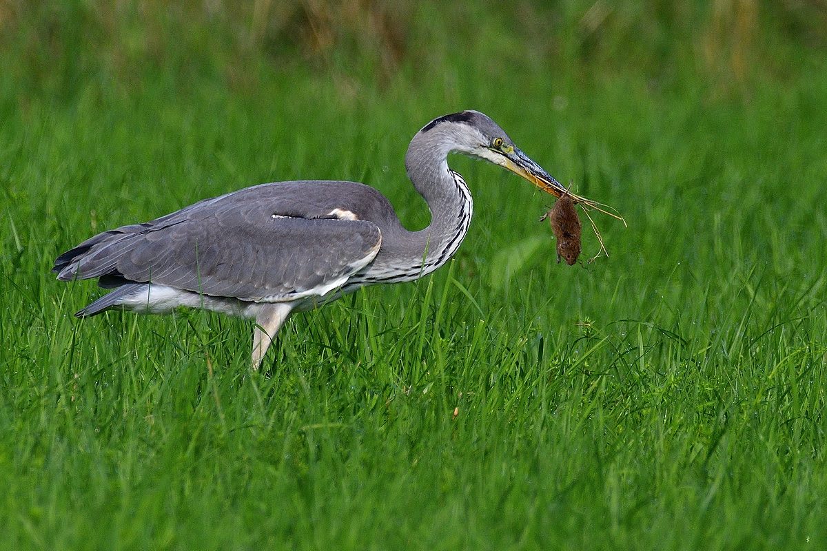 2021_13522.jpg-1.jpg