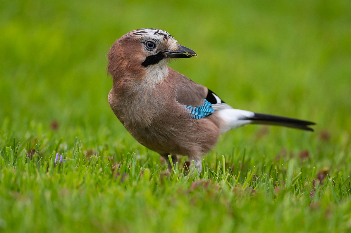 full