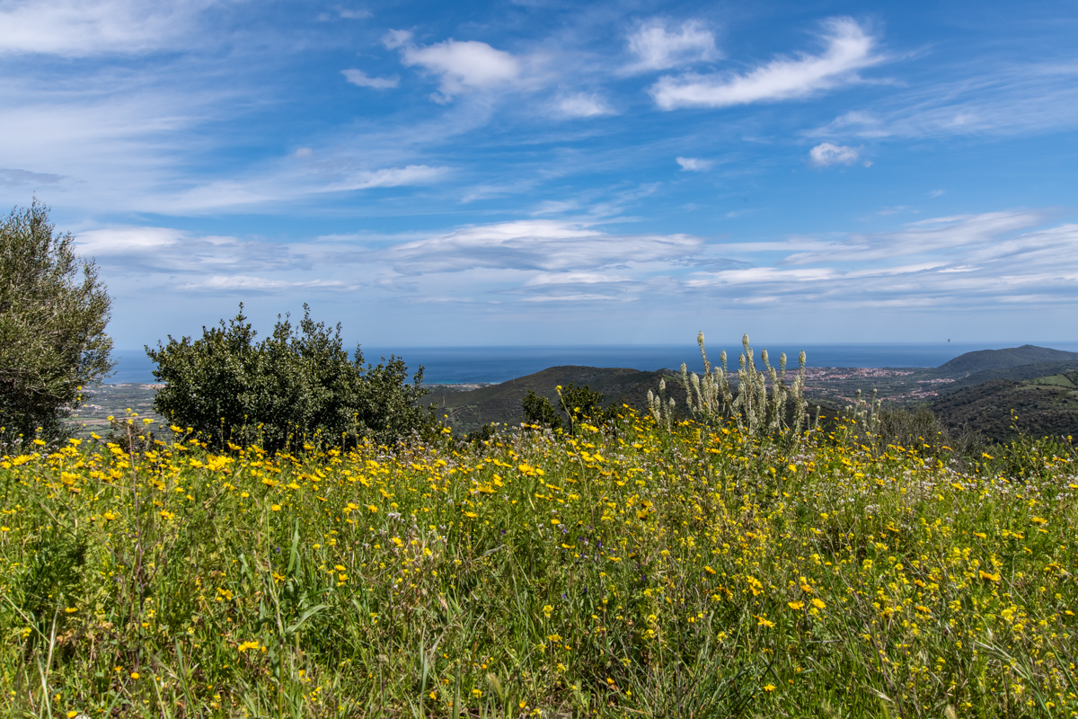 2022 Sardinien NF-F-4.jpg