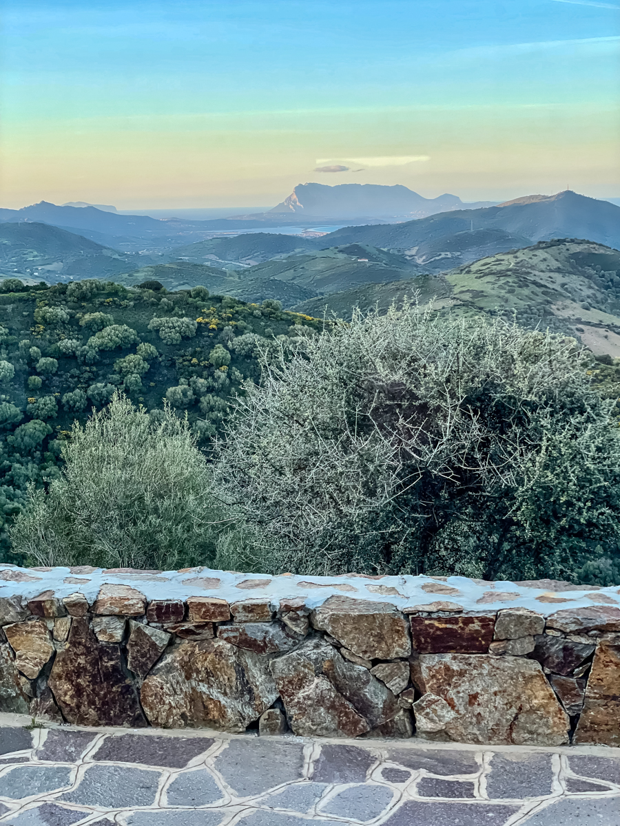 2022 Sardinien NF-F-57.jpg