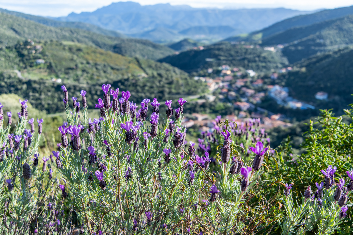 2022 Sardinien NF-F-8.jpg