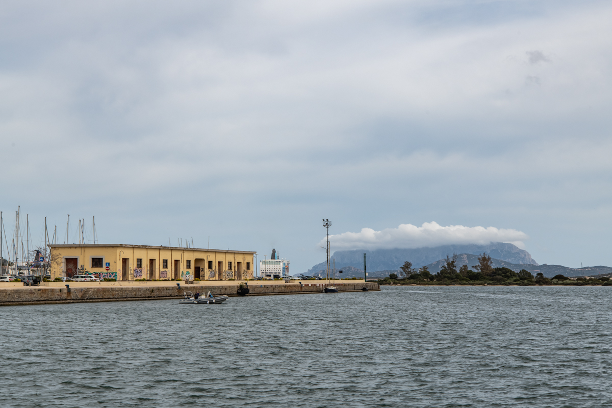 2022 Sardinien NF-F-84.jpg