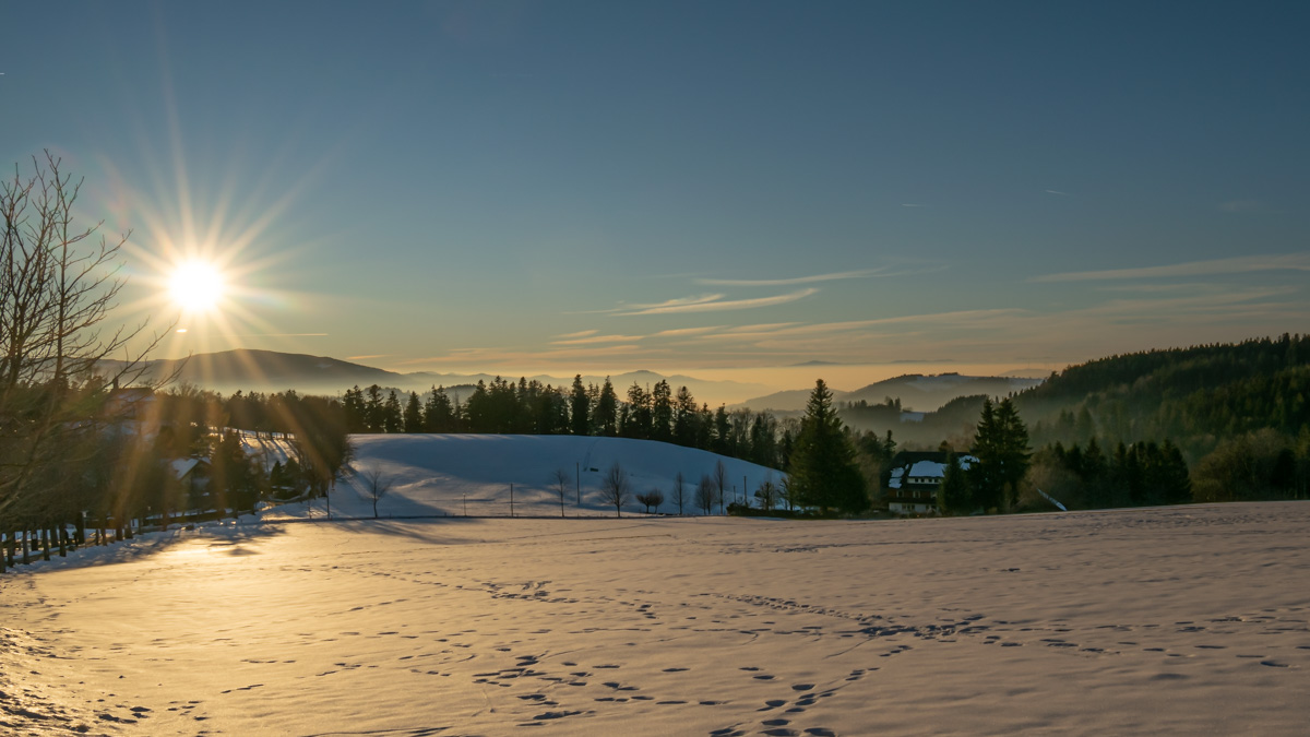 20220115-DSC_7753.jpg
