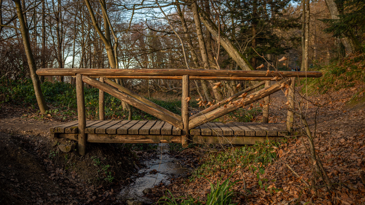 20220123-NZ6_6828.jpg