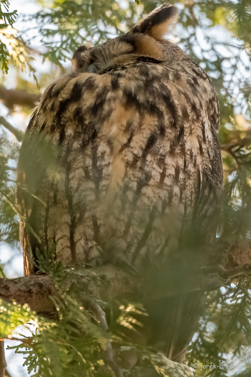 20220211-D50_6987-Bearbeitet.jpg