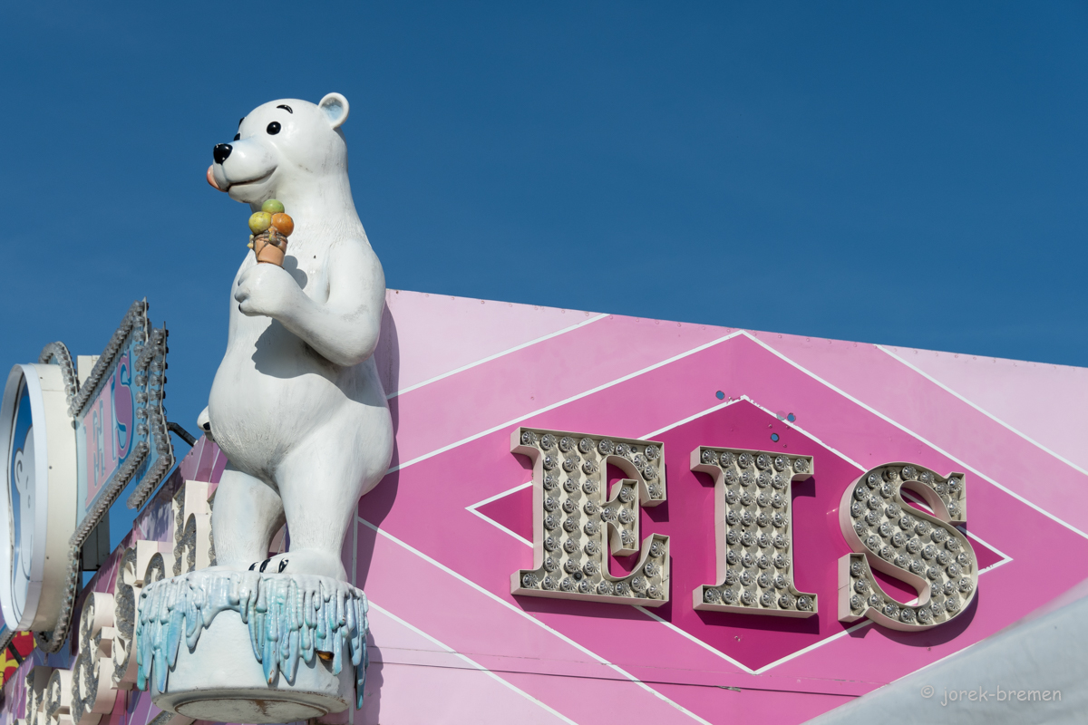 20220411-D50_7339.jpg