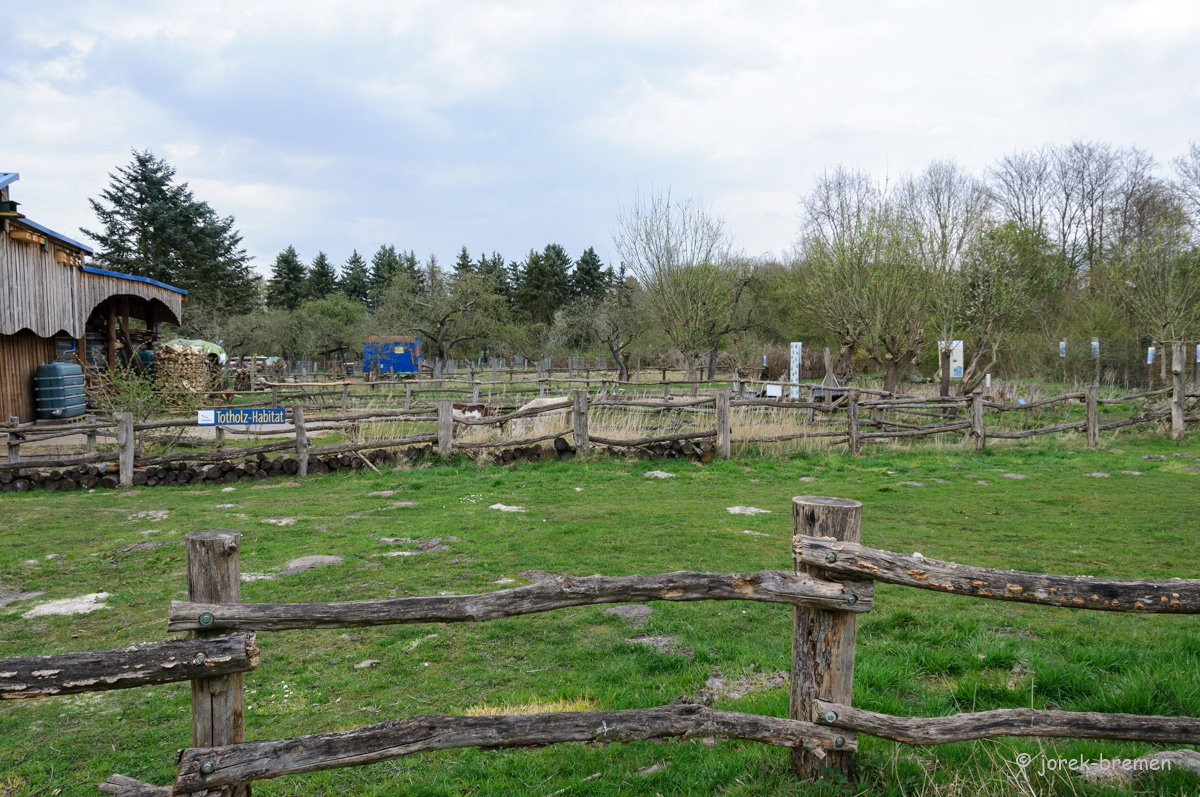 20220413-DSC_6205.jpg