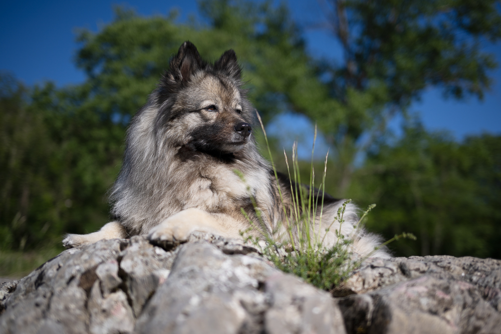 20220501-_CH91490-Bearbeitet.jpg