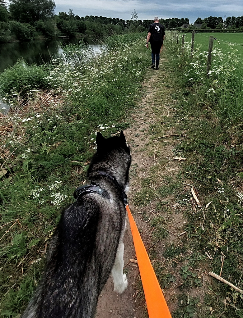 20220517_114647.jpg