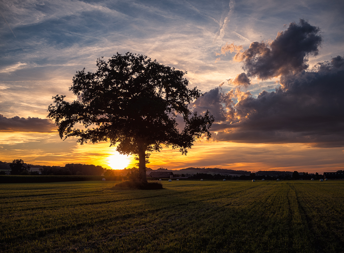 20220709210334-_A854181-Bearbeitet.jpg