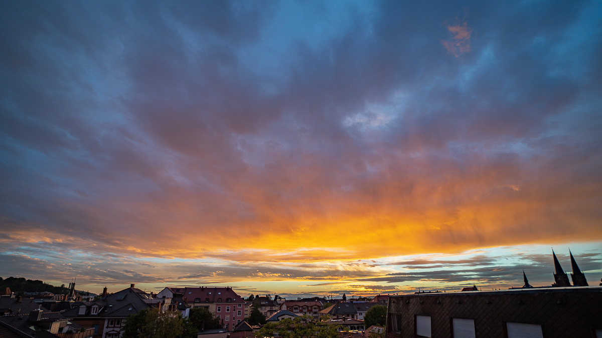 20220801-NZ6_2307.jpg