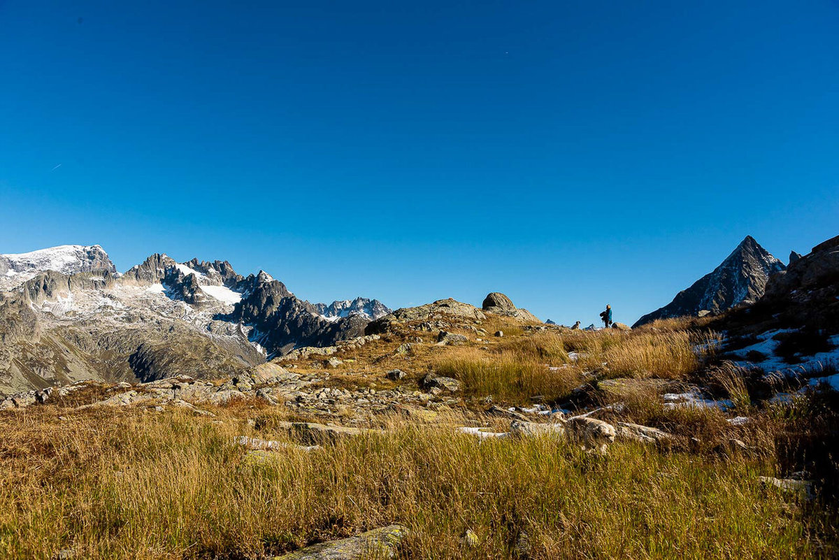 20220921-NIK_5027.jpg