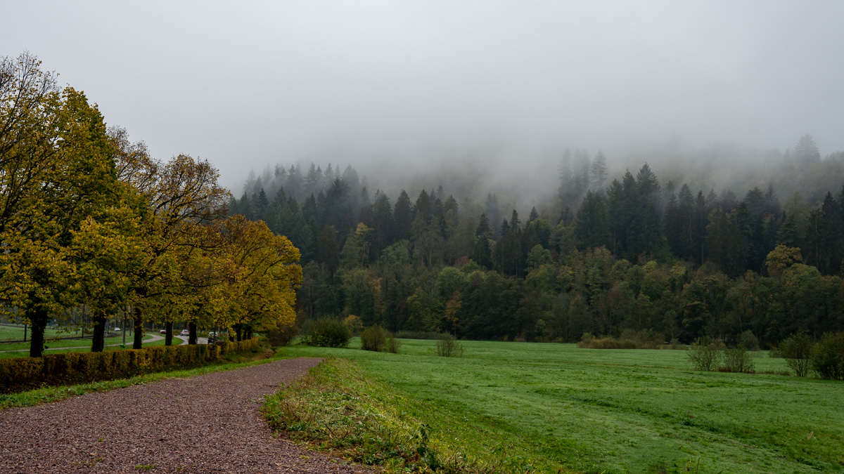 20221113-NZ6_3596.jpg