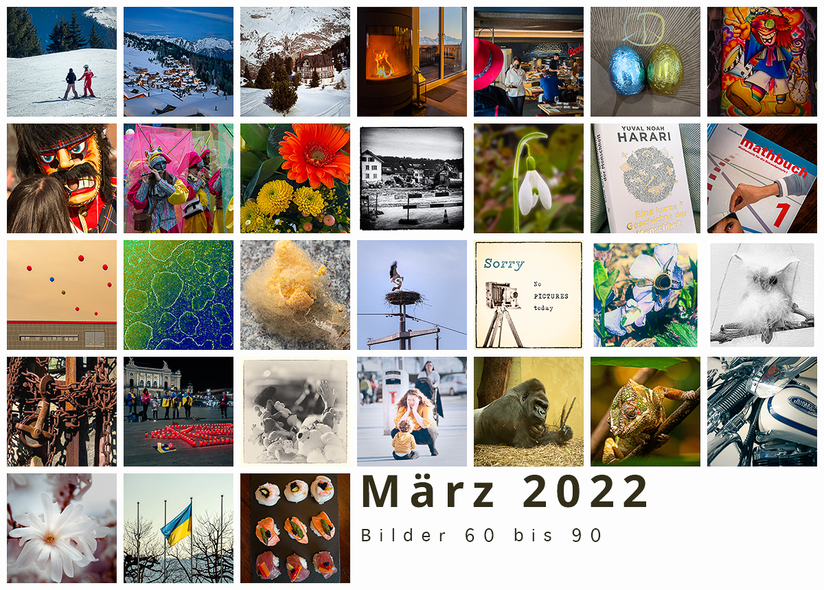 2022_MAR_Bildtagebuch_Zusamenfassung_Monat.jpg