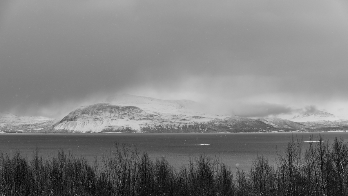 2023 Lofoten-146.jpg
