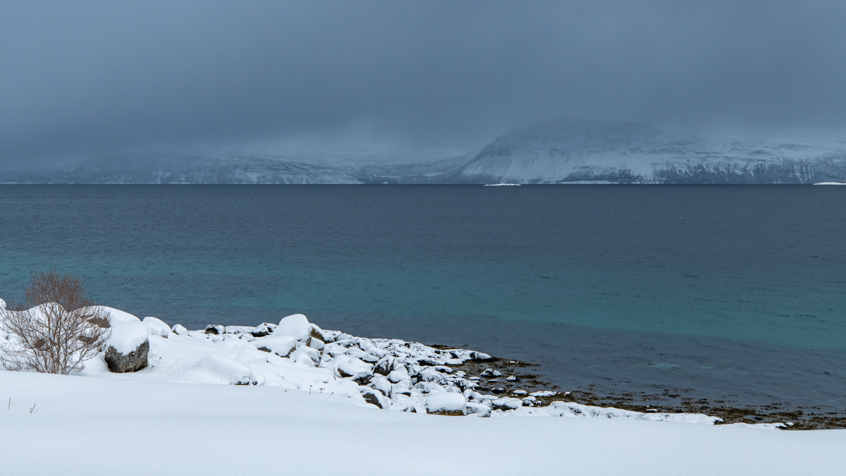 2023 Lofoten-150.jpg