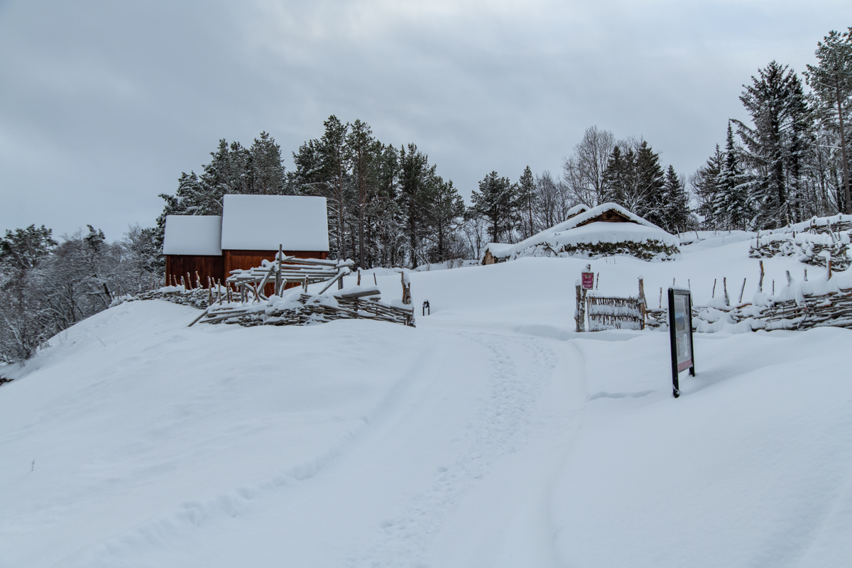 2023 Lofoten-155.jpg