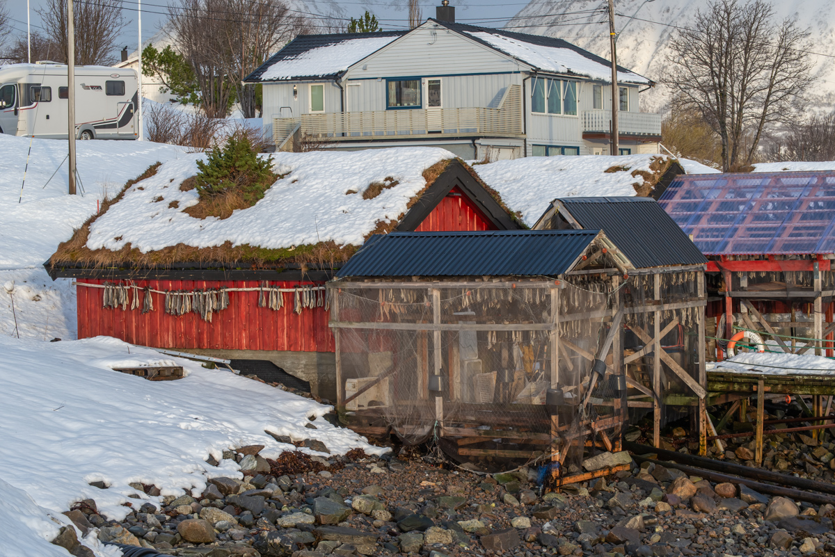 2023 Lofoten-171.jpg