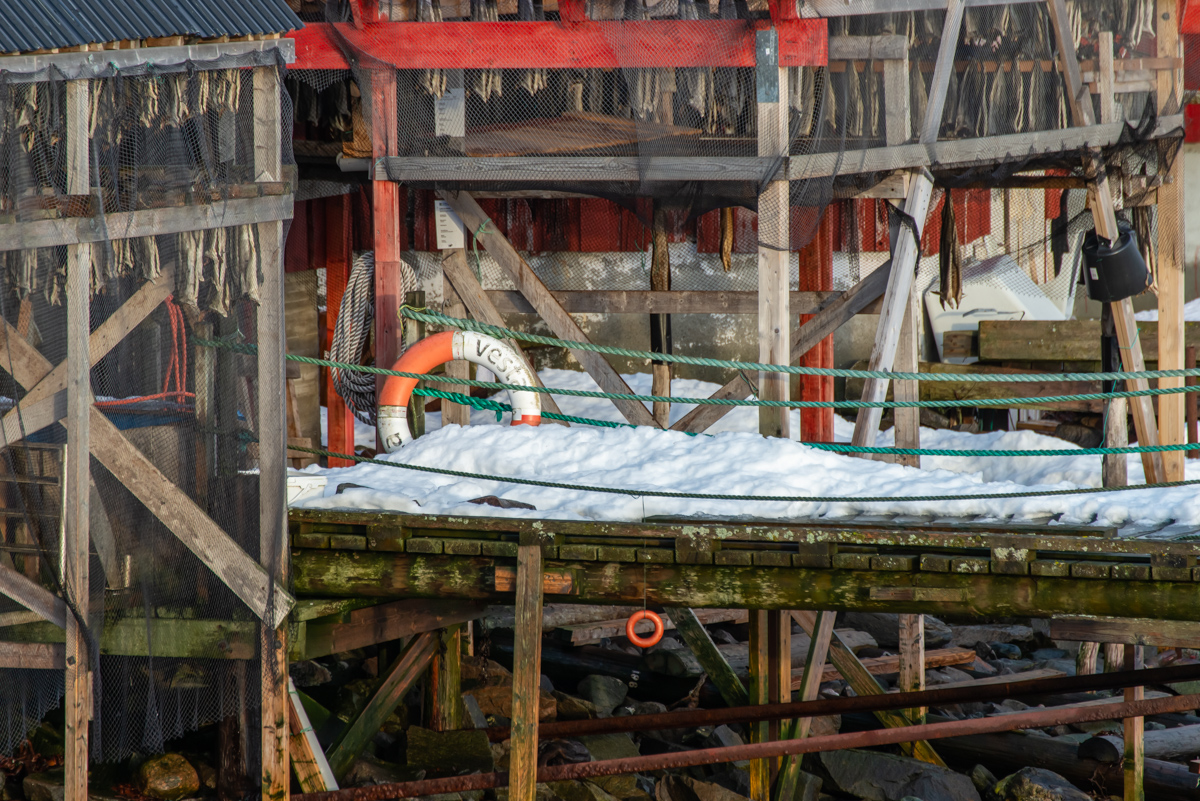2023 Lofoten-172.jpg