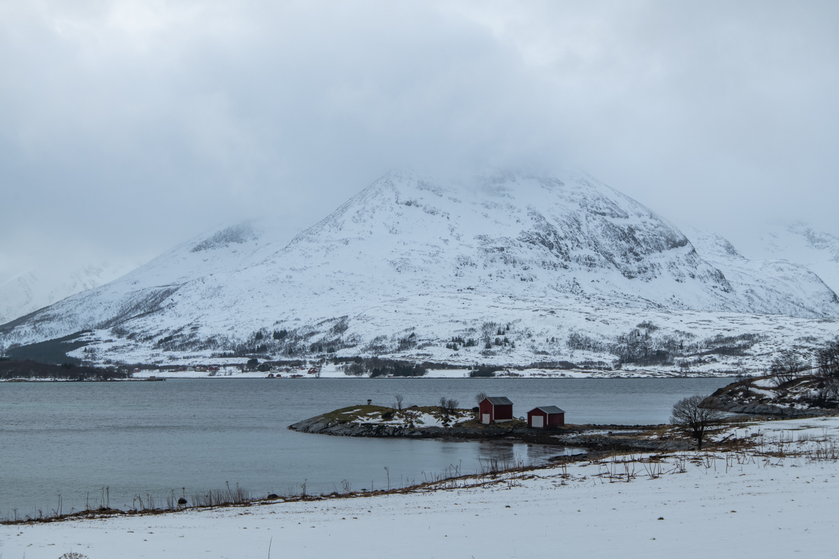 2023 Lofoten-190.jpg