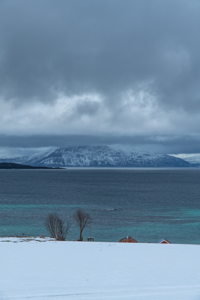 2023 Lofoten-192.jpg