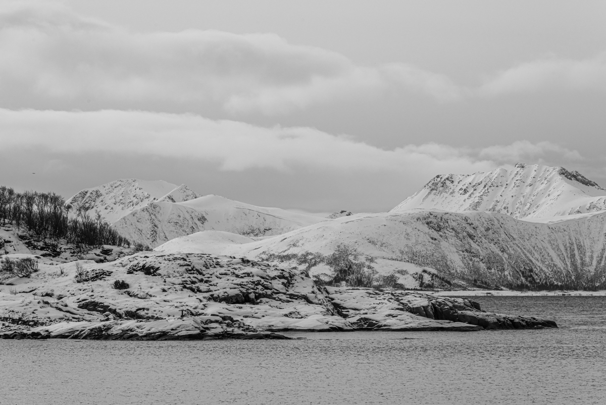 2023 Lofoten-20.jpg