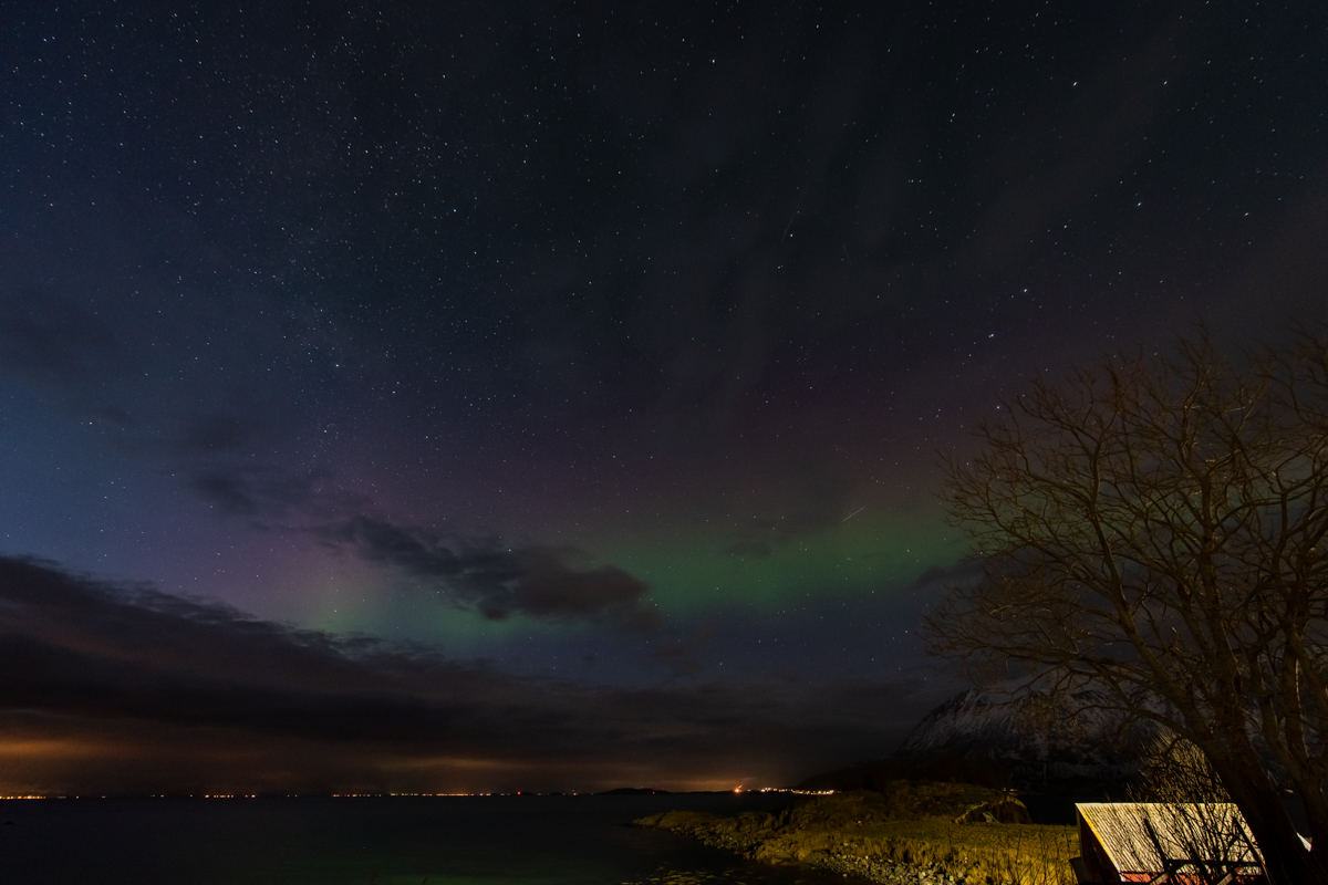 2023 Lofoten-211.jpg