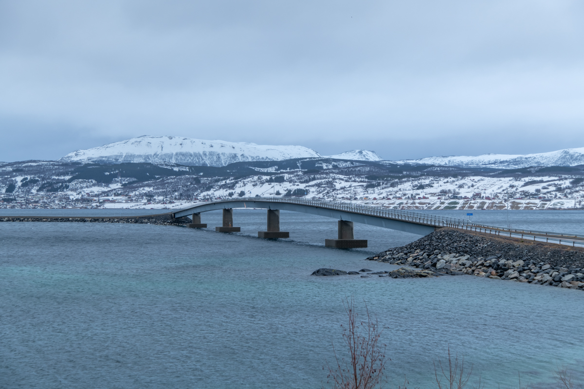 2023 Lofoten-47.jpg