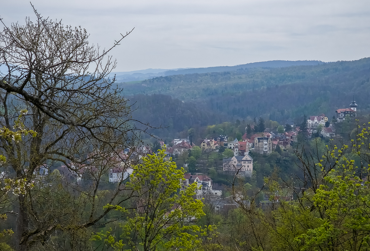 20230501_112400-2.jpg