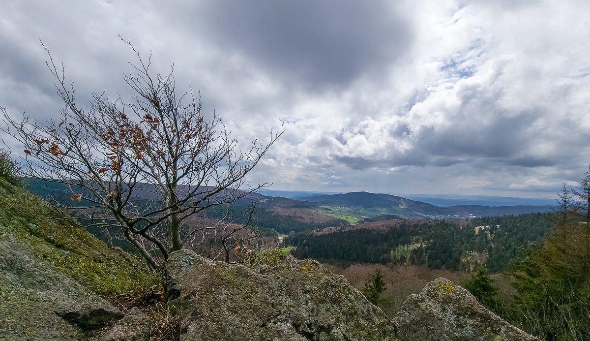 20230502_141008-2.jpg