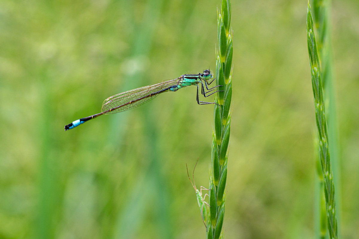 20230604-NZ6_1574.jpg