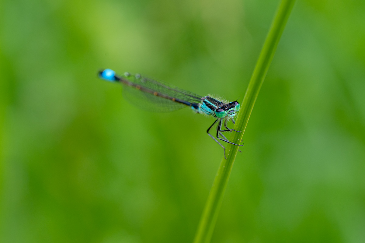20230604-NZ6_1689.jpg