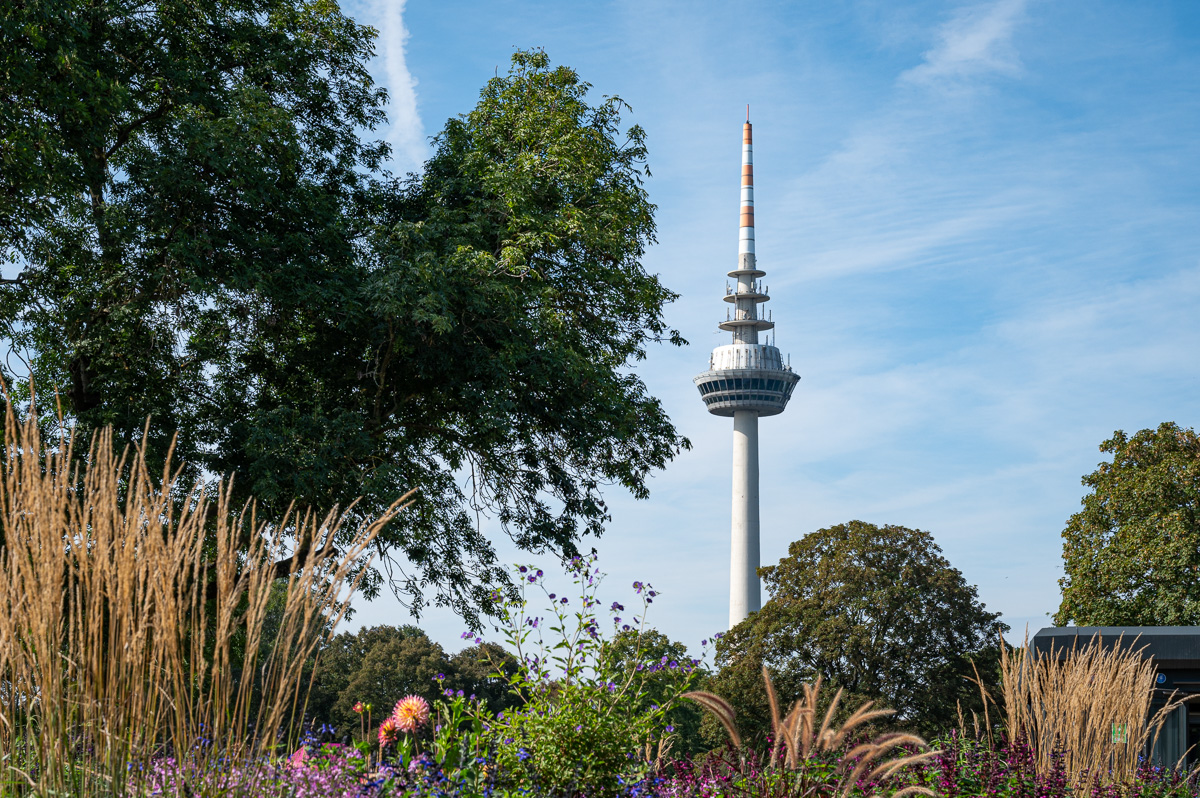 20230916-NZ6_1298.jpg