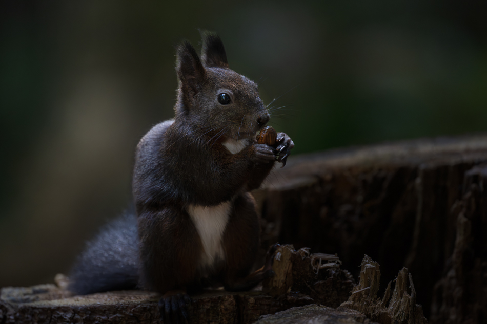 20231012-_DSC7661-Verbessert-NR.jpg