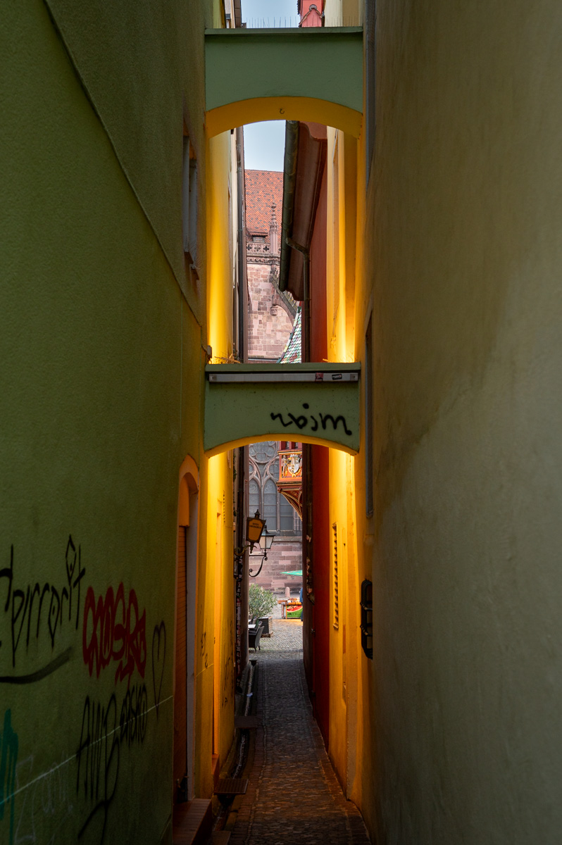 20231016-NZ6_2165.jpg