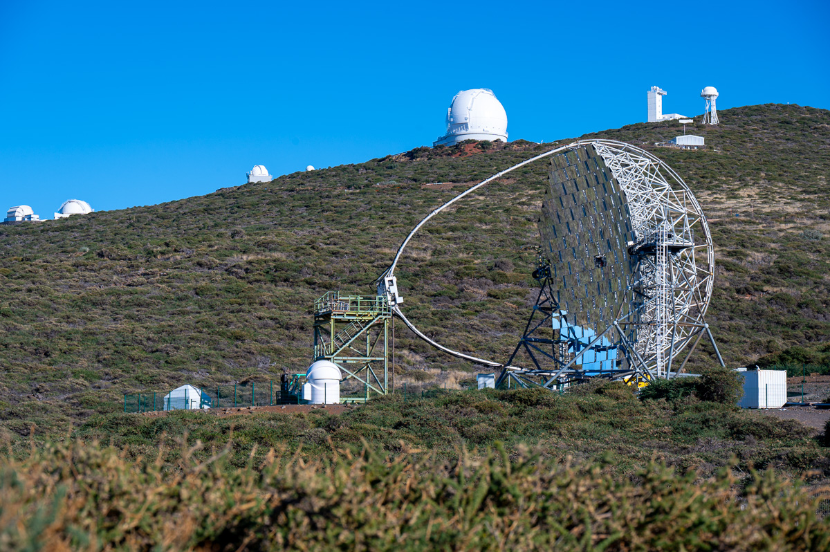 20231110-NZ6_6662.jpg