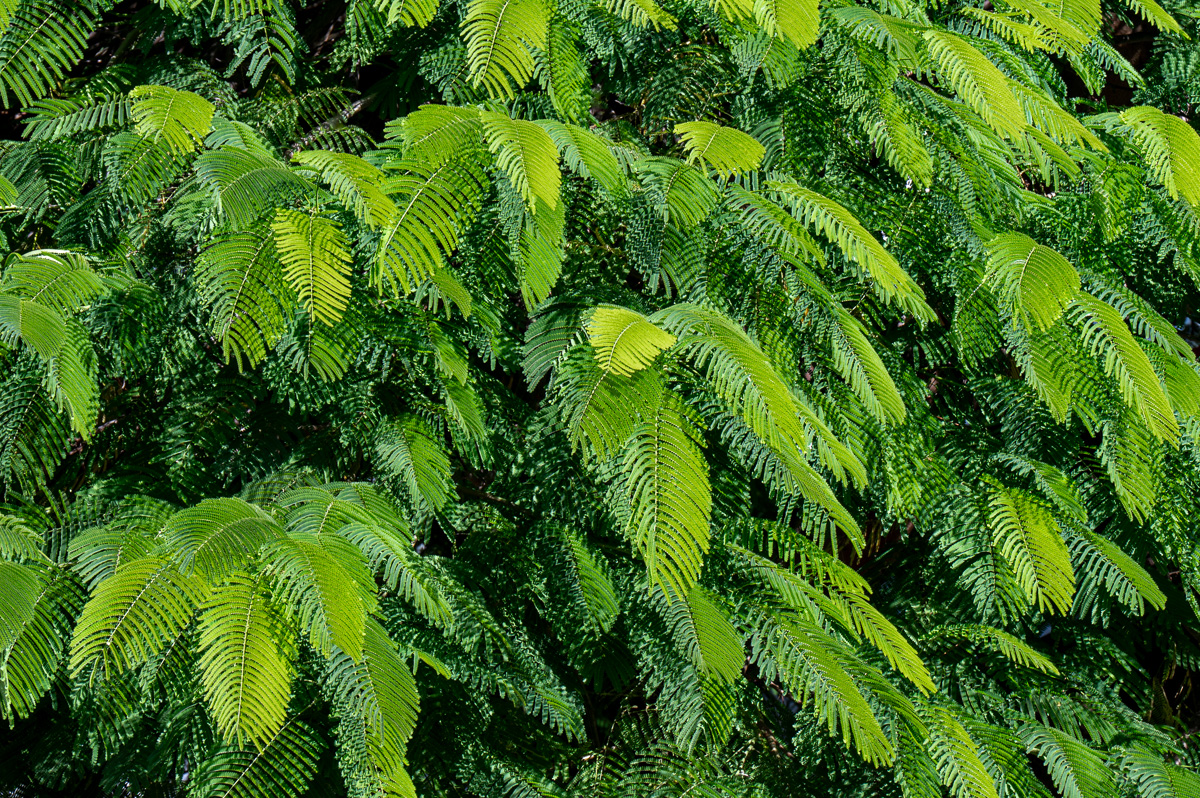 20231119-NZ6_8937.jpg