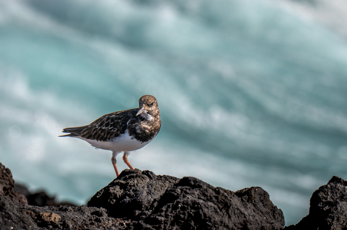 20231119-NZ6_9017.jpg