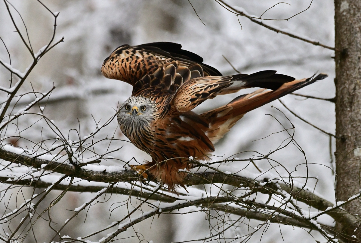 2023_054103.jpg