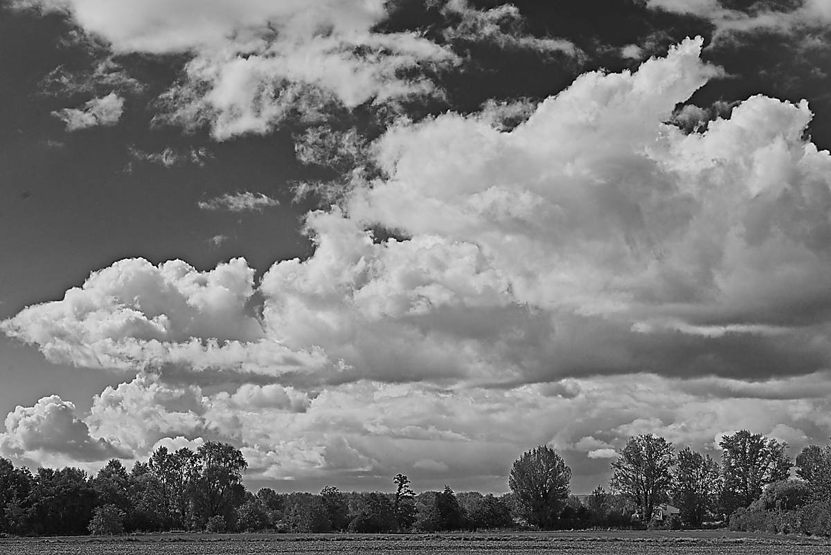 2024-09-28_13-29-16_019_NIKON Z 5 bw_1200.jpg