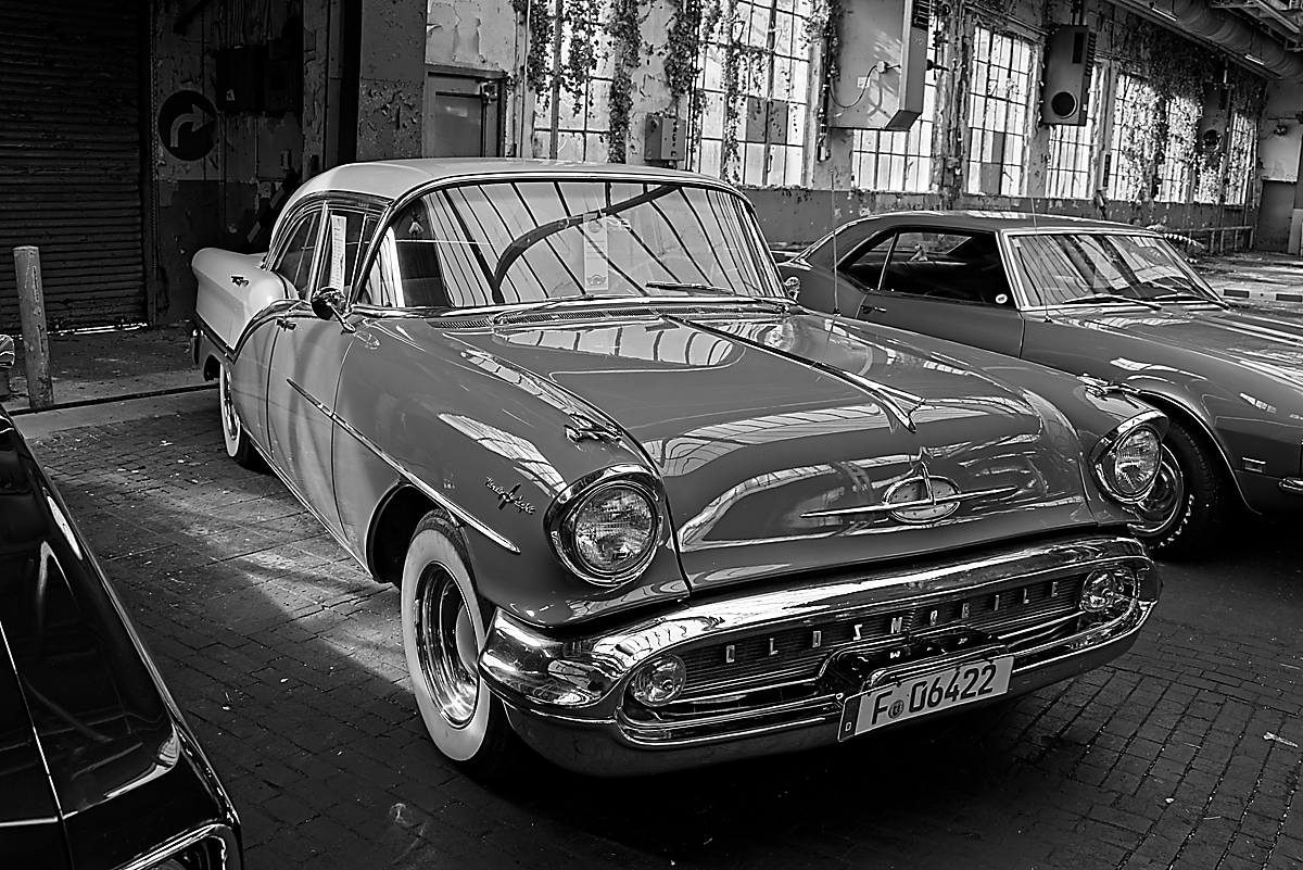 2024-10-13_12-08-02_078_NIKON Z 5 bw_1200.jpg